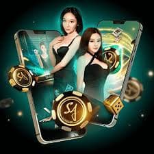 qq87